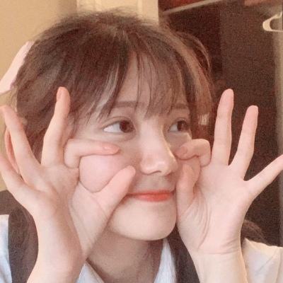 宝可梦探险寻宝破解版下载
